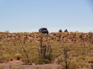 O deserto da Austrália como lição para aumentar as vendas de uma loja